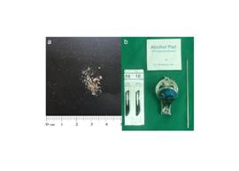 Shows adequate amount of sample & tools required for nail sample collection