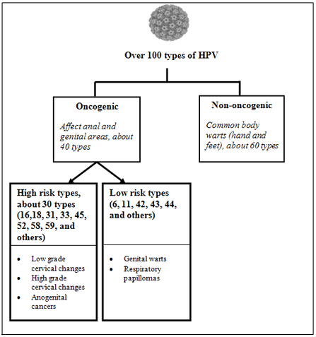 Figure 1. Illustration of oncogenic and non-oncogenic HPV type