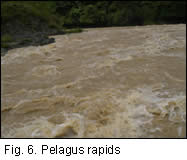 Pelagus rapids