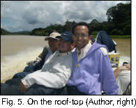 On the roof-top